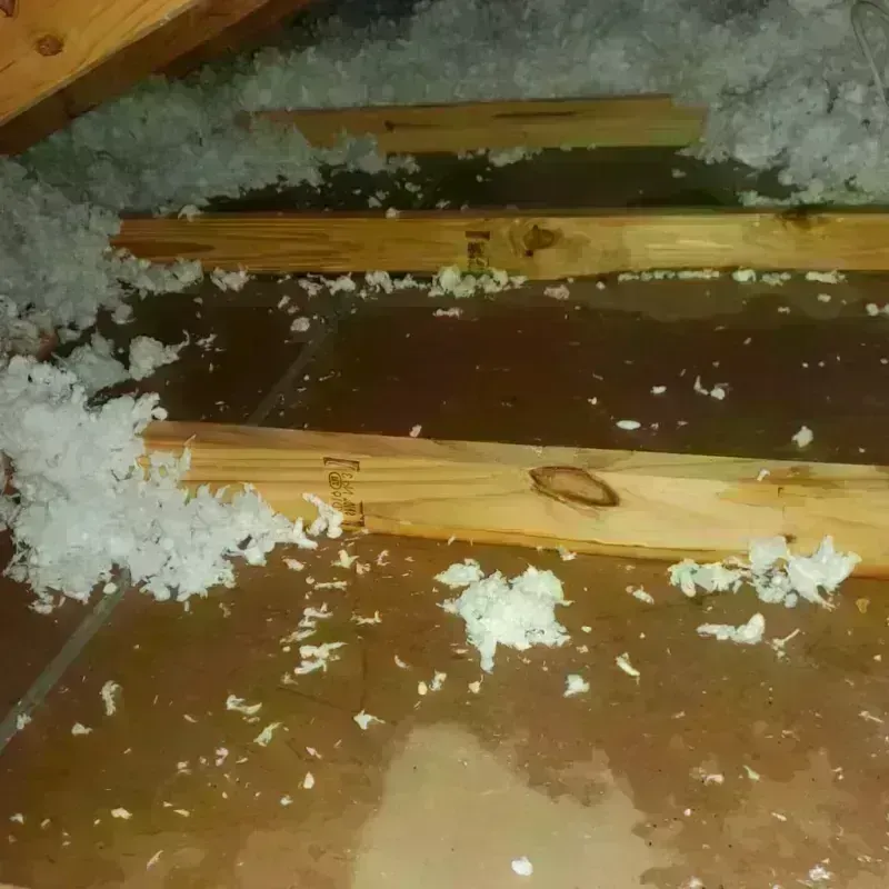 Attic Water Damage in Marion County, OR