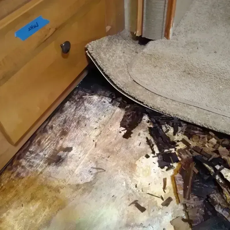 Wood Floor Water Damage in Marion County, OR